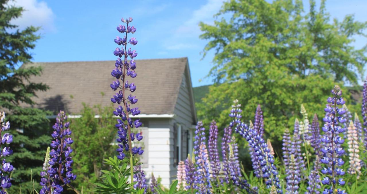 Chanterelle Inn & Cottages Baddeck Inlet Exteriér fotografie